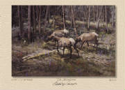 NewWorks/ElkMeadows_POP.jpg