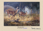Wildlife/RunningDeerPOP2.jpg