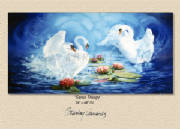 Wildlife/SwanTriologyPOP2.jpg
